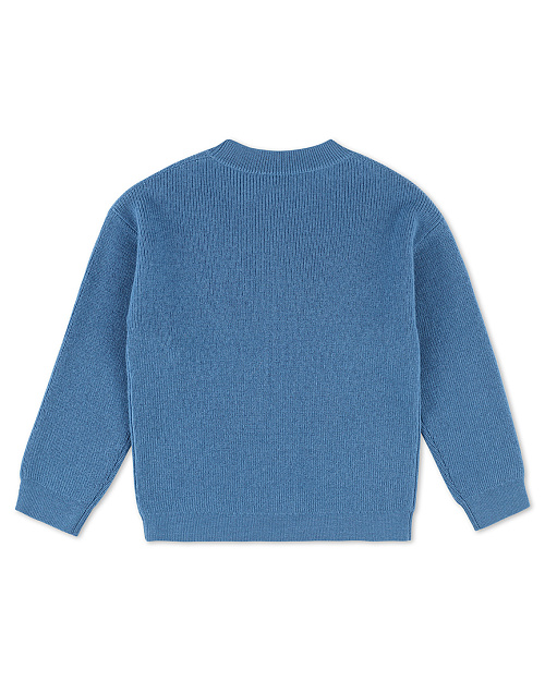 Детский свитер Unisex из шерсти, голубой